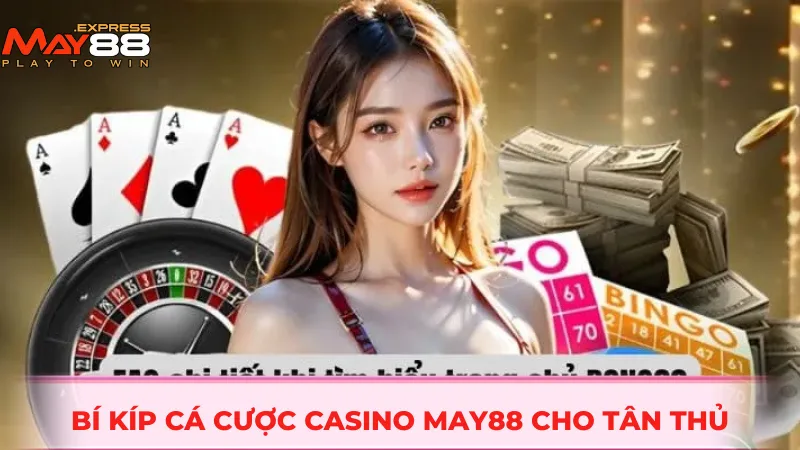 Bí kíp cá cược casino MAY88 cho tân thủ